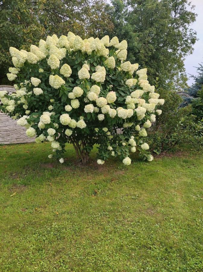 Magnolia Gospodarstwo Agroturystyczne Kazimierz Dolny Extérieur photo